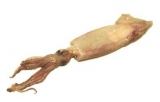 Squid Web Proxy Cache