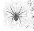 Otter: A general-purpose network visualization tool