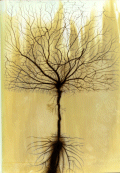 Archipress : points de vue sur le monde contemporain et la science