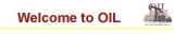 The Ontology Inference Layer OIL