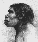 Human Origins (site étudiant, gagnant du ThinkQuest Internet Challenge 1999)