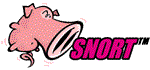 SNORT : système de détection d\'intrusion réseau en Open Source